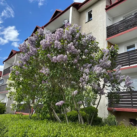 Babie Lato * Szczawnica