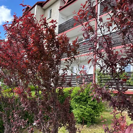 Apartament Babie Lato *