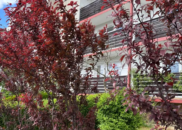 Appartamento Babie Lato *